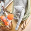 Sunny Basket kattenmand ovaal avocado donkergroen