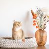 Sunny Basket kattenmand ovaal beige