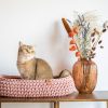 Sunny Basket kattenmand ovaal blush roze
