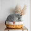 Sunny Basket two tone kattenmand wit creme en geel