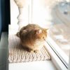 Sunny Mat two tone vensterbankmatje beige