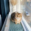 Sunny Mat two tone kattenmat