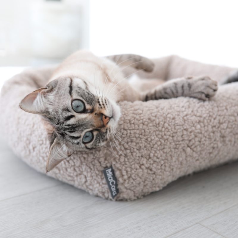 MiaCara Senso kattenmand beige