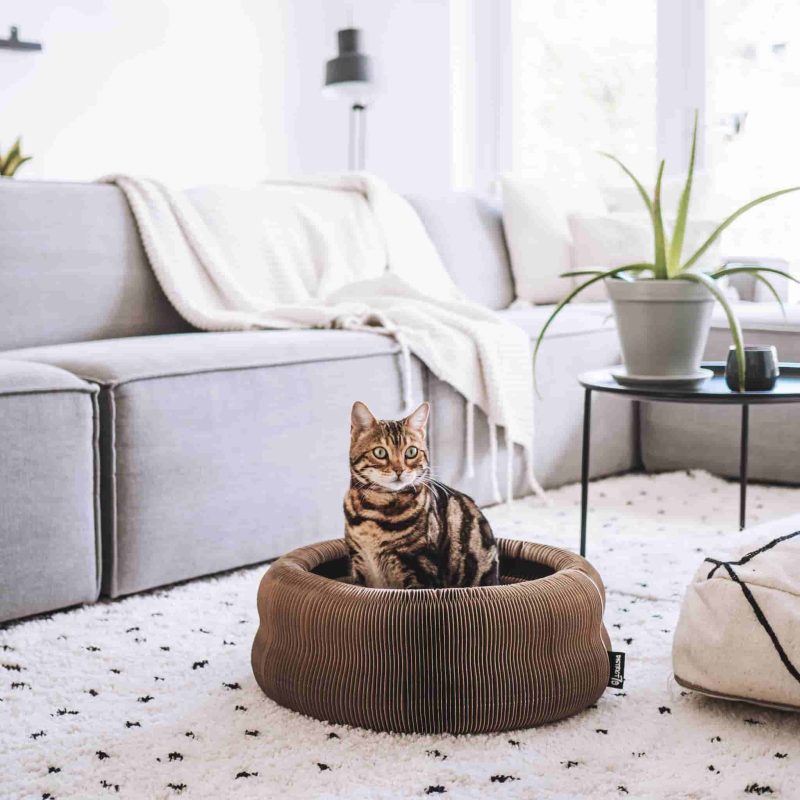 District 70 Maze 3-in-1 kattenmand