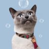 DWAM kattenhalsband LouLou