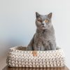 Sunny Baskets two tone rechthoekige kattenmand
