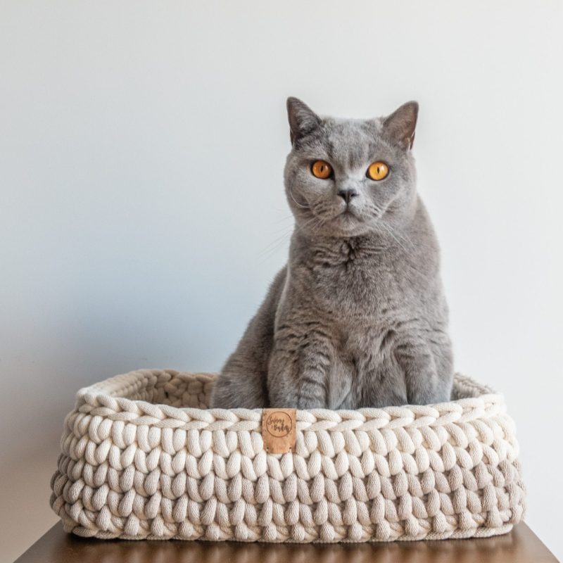 Sunny Baskets two tone rechthoekige kattenmand