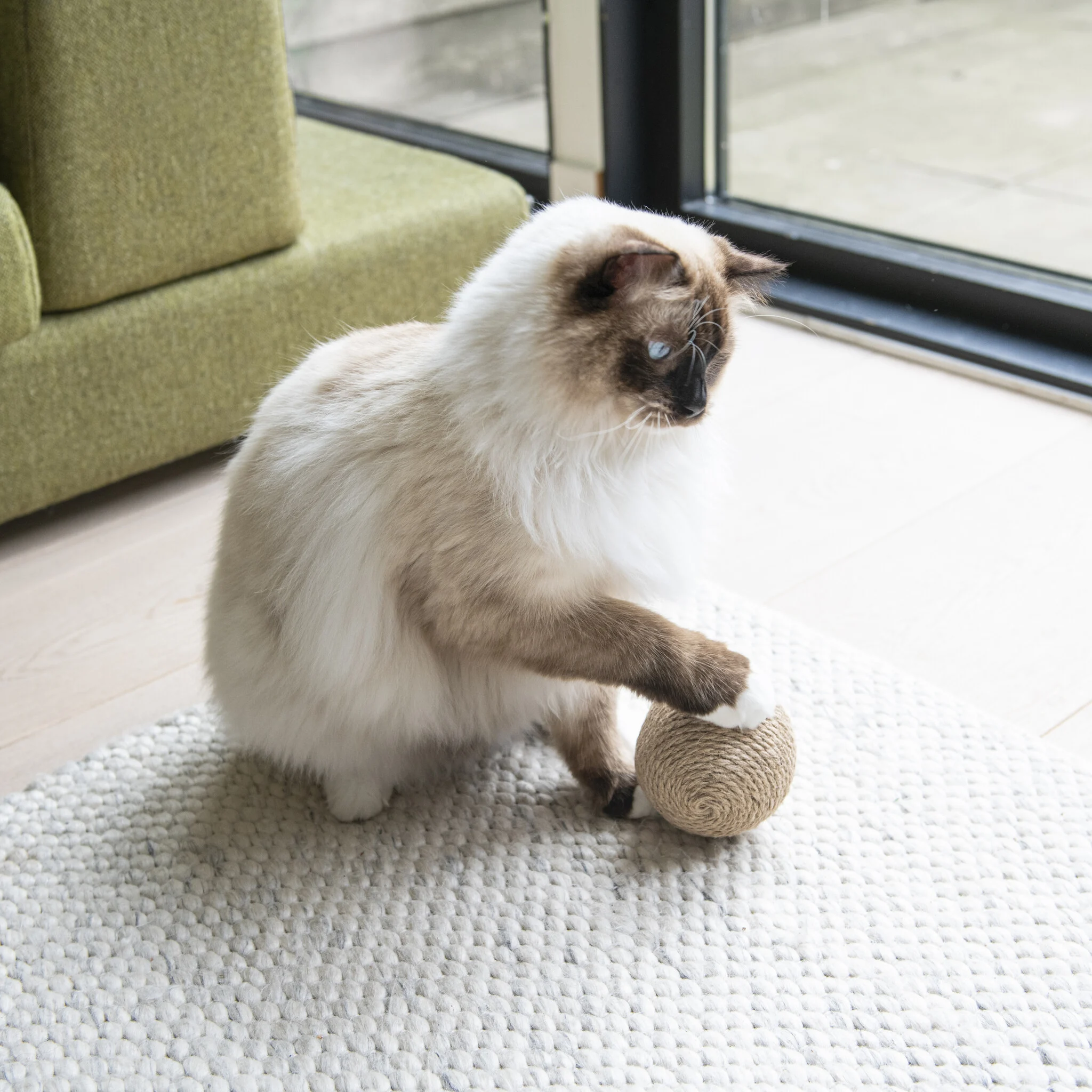 Hoopo® Globes kattenspeelgoed