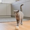 MiaCara Rotolo kattenspeelgoed beige