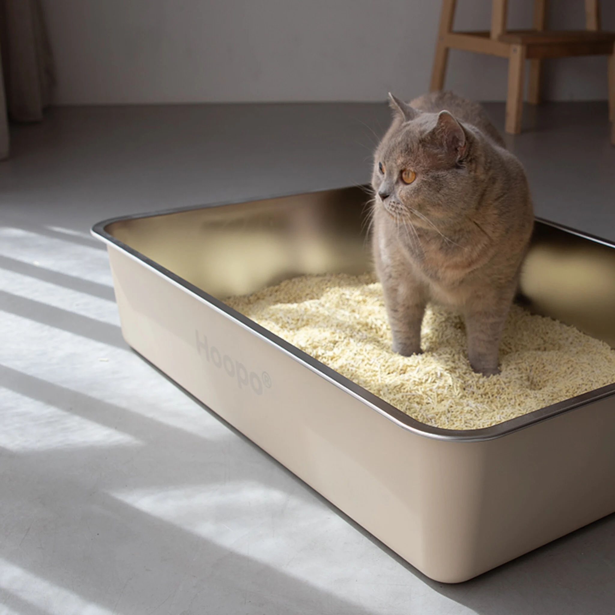 Hoopo® Pool kattenbak