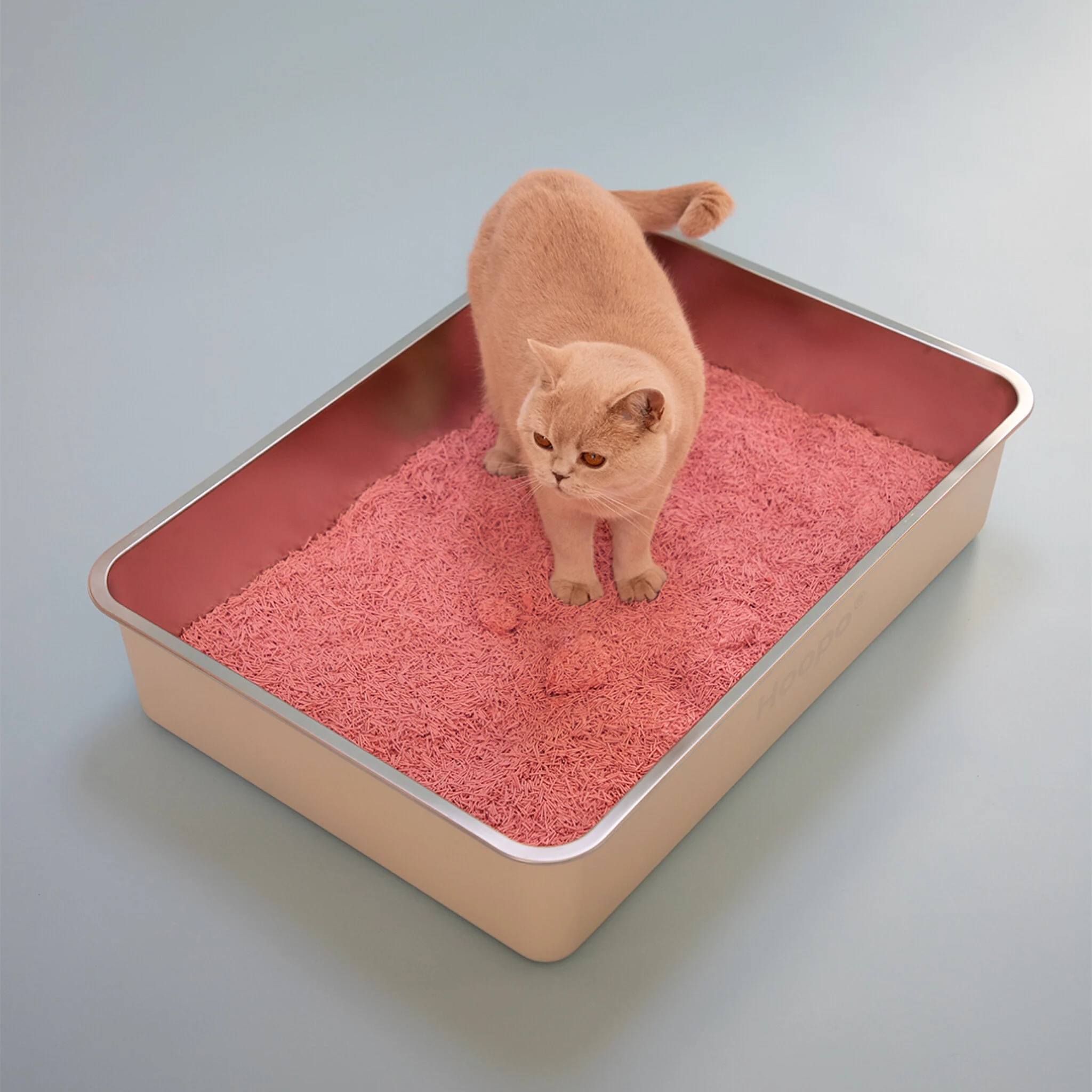 Hoopo® Pool kattenbak - Afbeelding 7