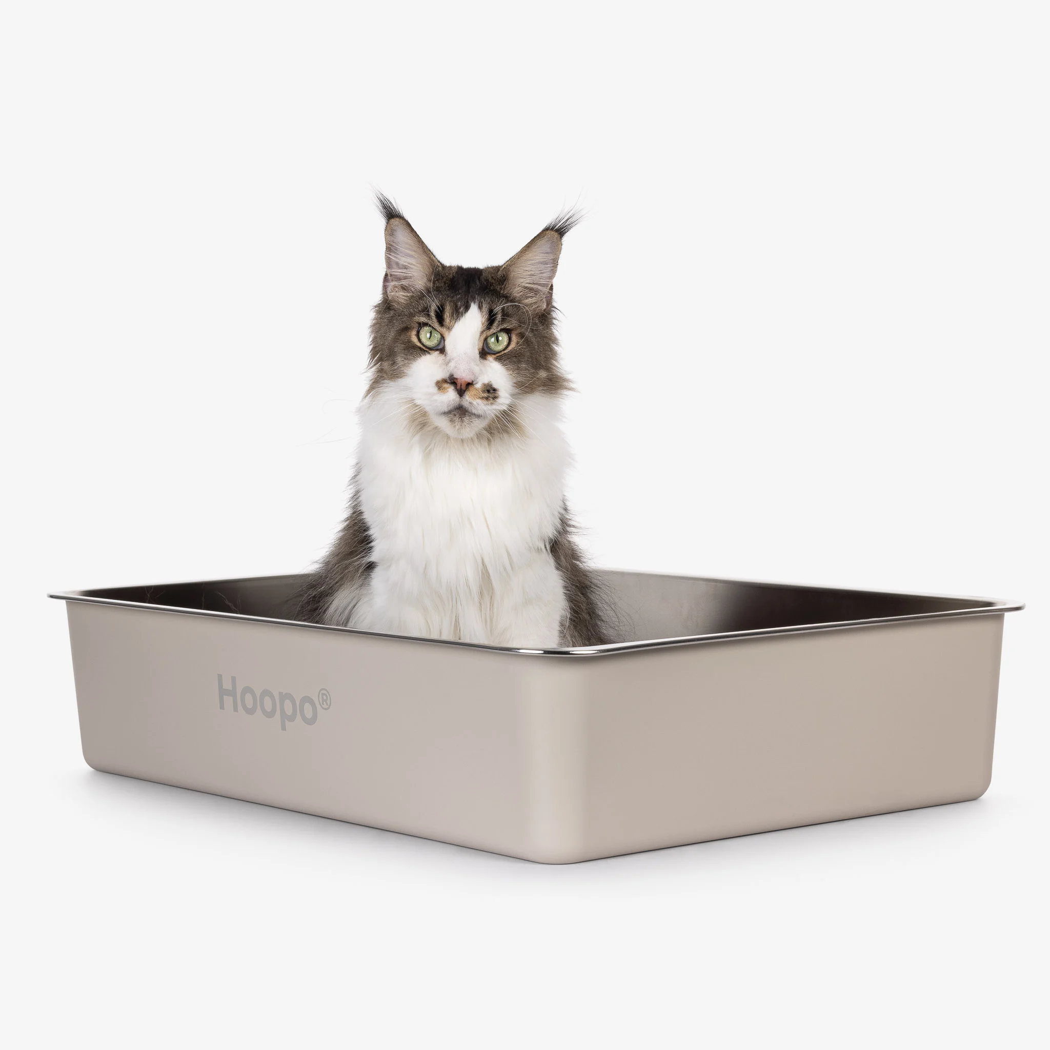 Hoopo® Pool kattenbak - Afbeelding 5