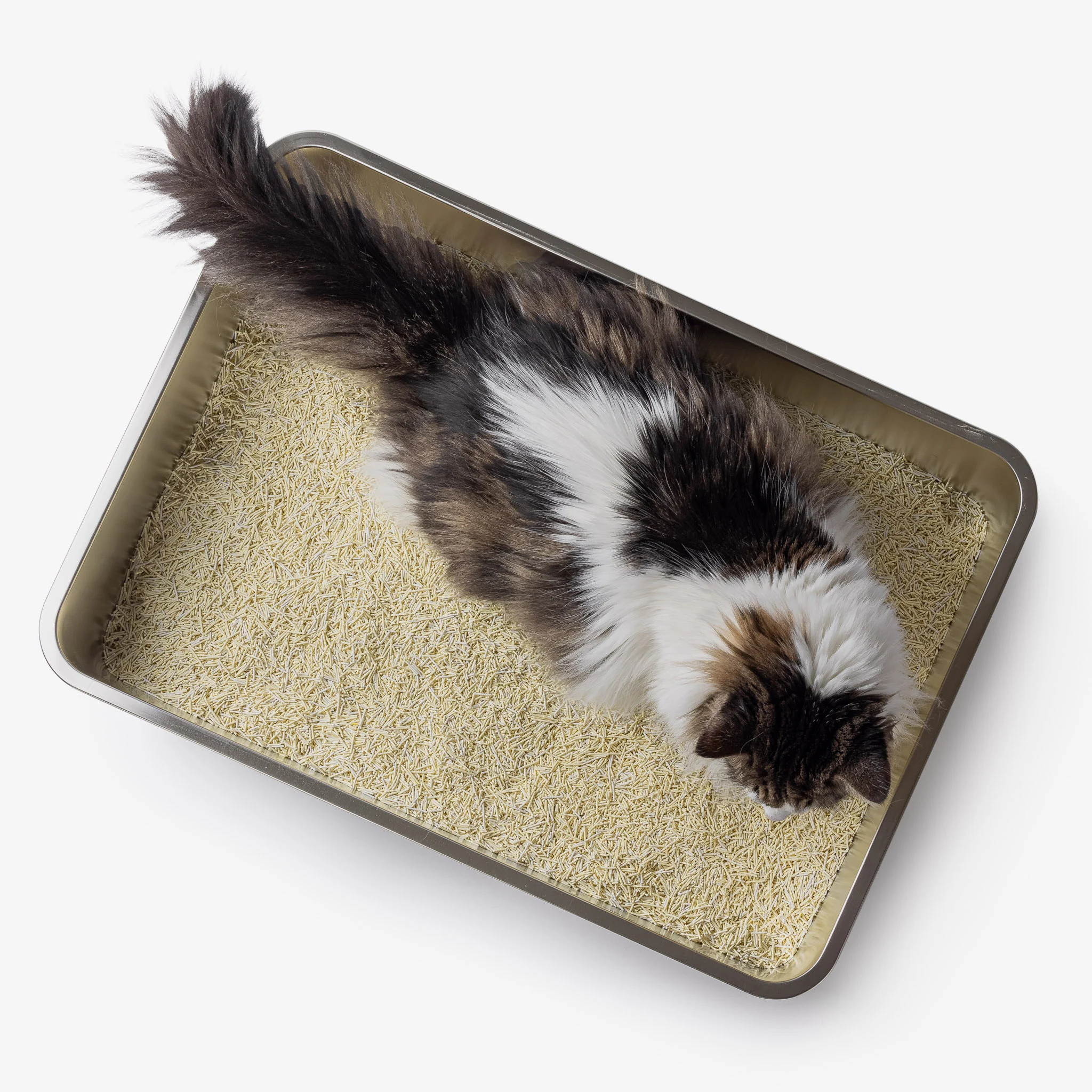 Hoopo® Pool kattenbak - Afbeelding 6