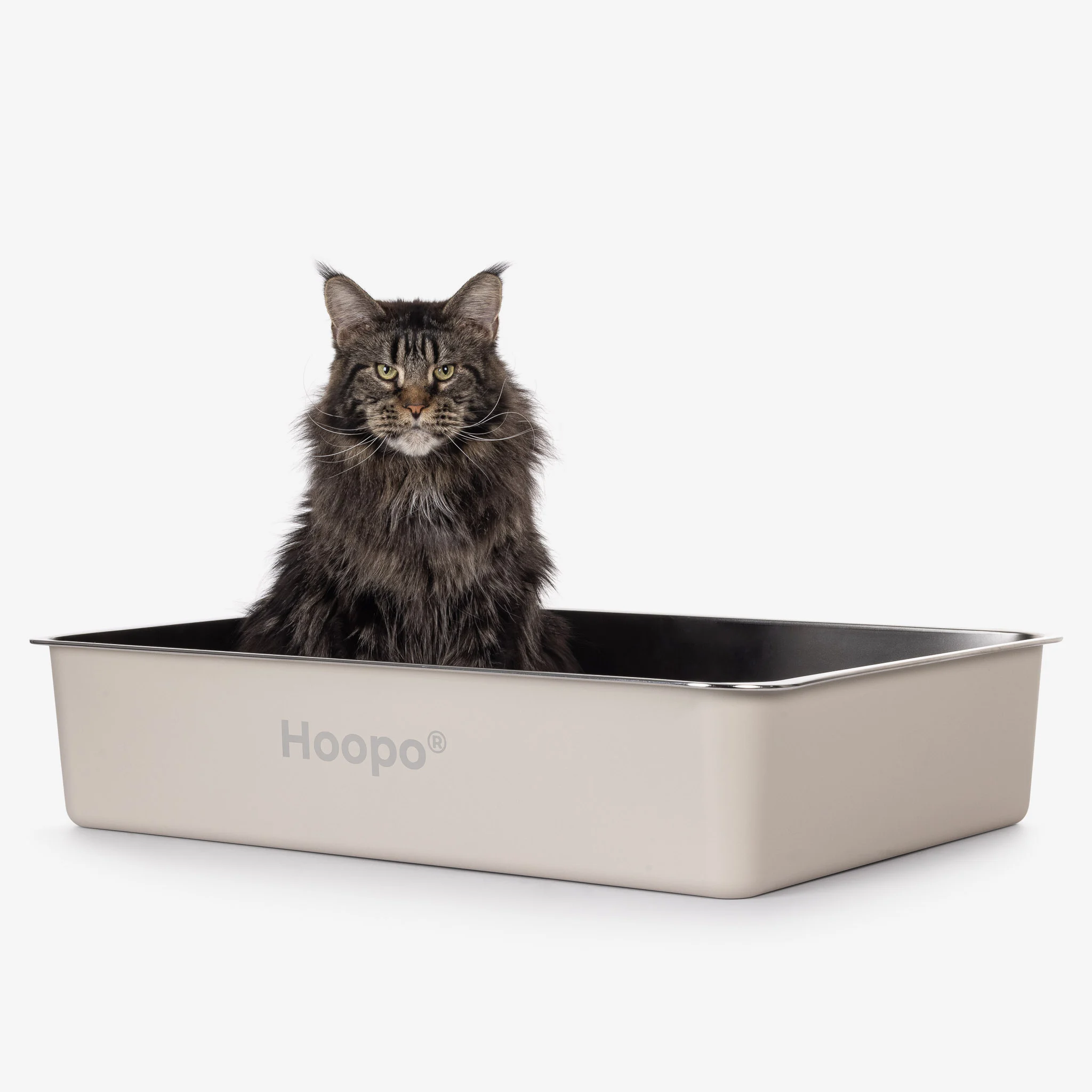 Hoopo® Pool kattenbak - Afbeelding 3
