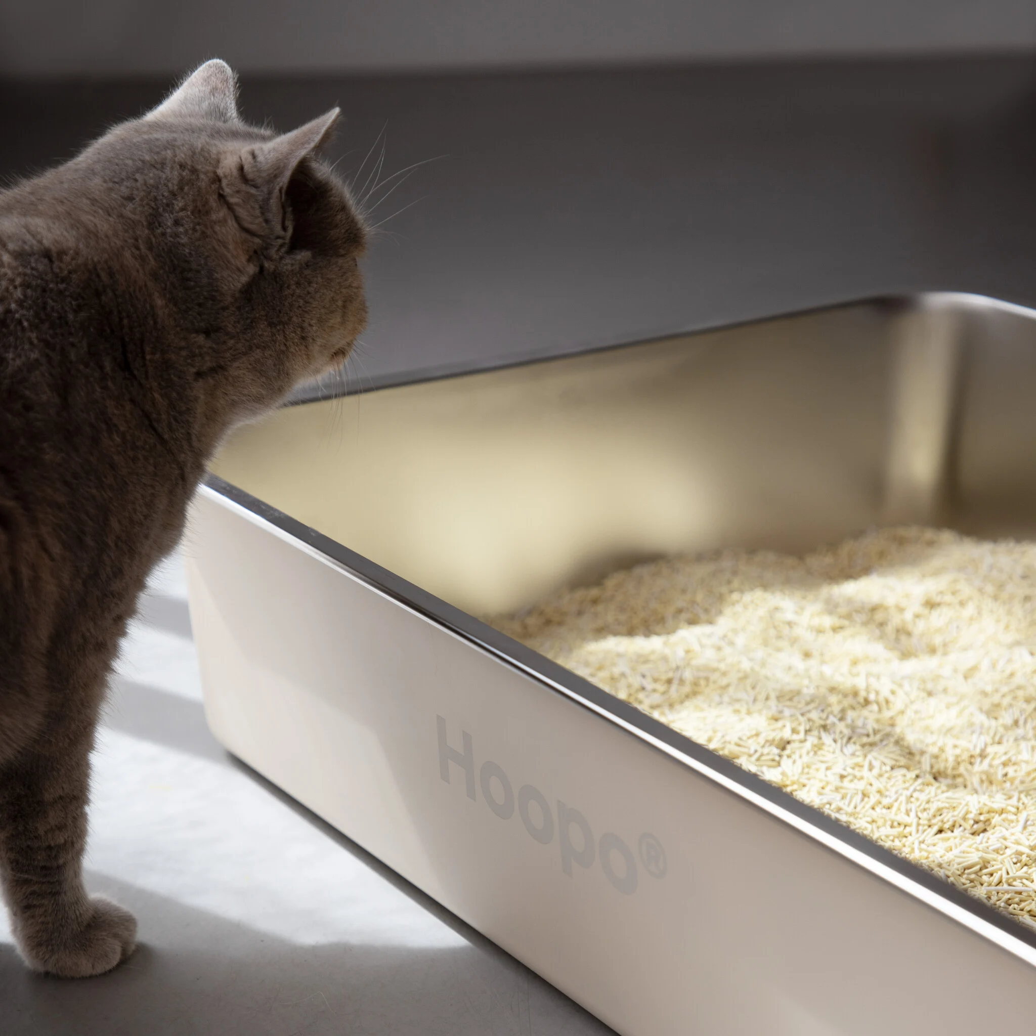 Hoopo® Pool kattenbak - Afbeelding 2
