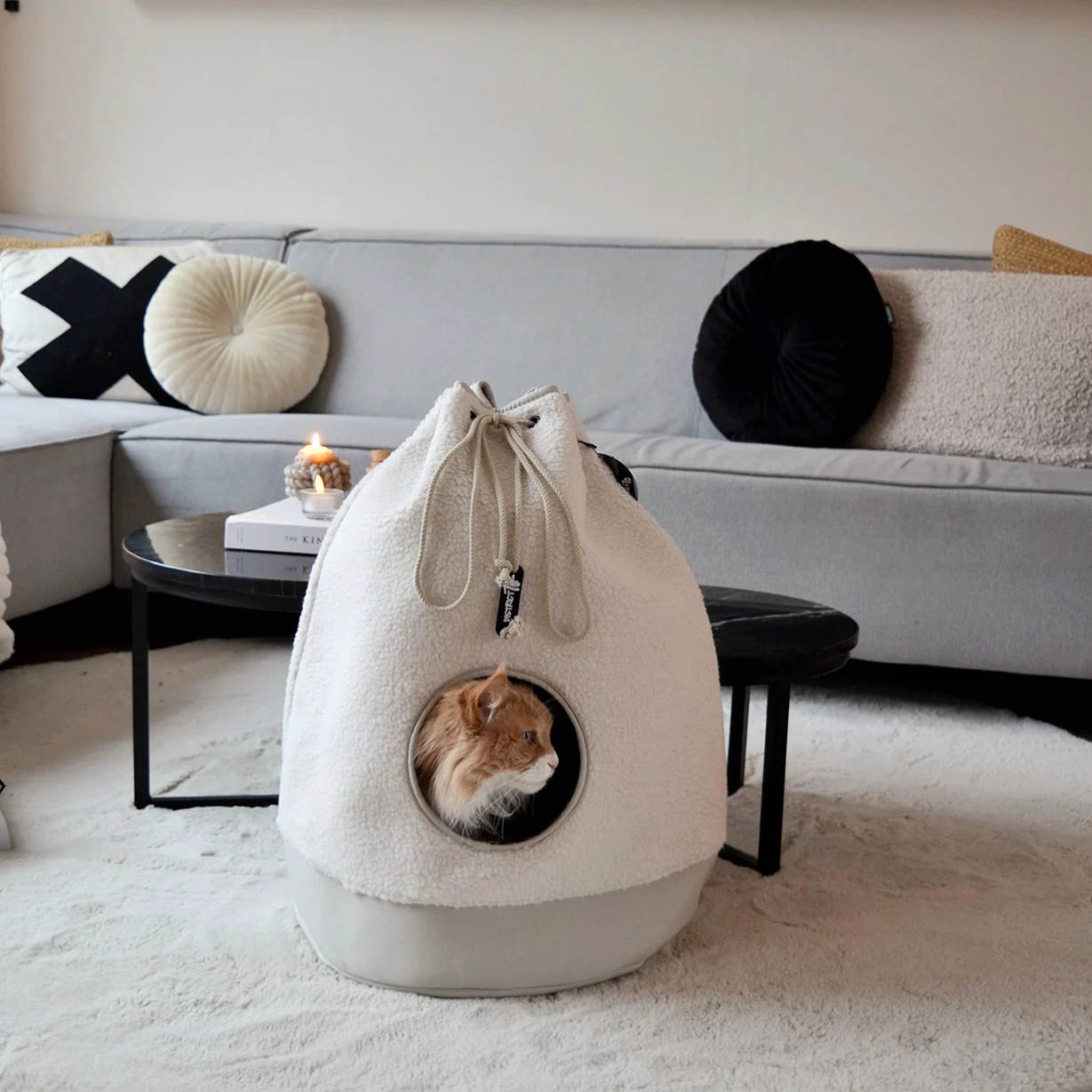 District 70 Casa Teddy kattenhuis - Afbeelding 4