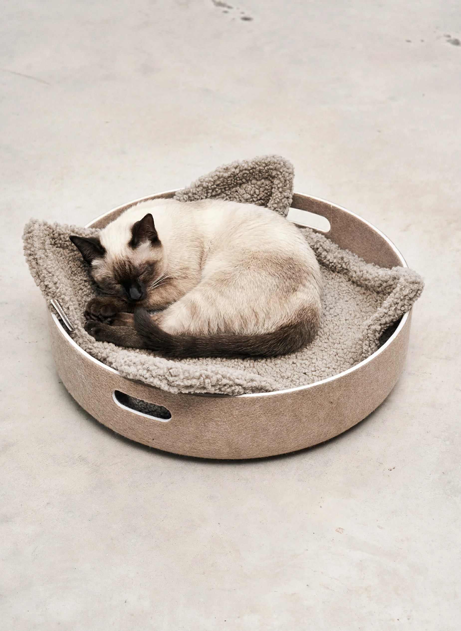 MiaCara Senso kattendeken - Afbeelding 3