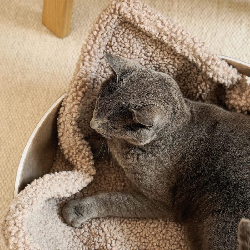 Alternative view of MiaCara Senso kattendeken