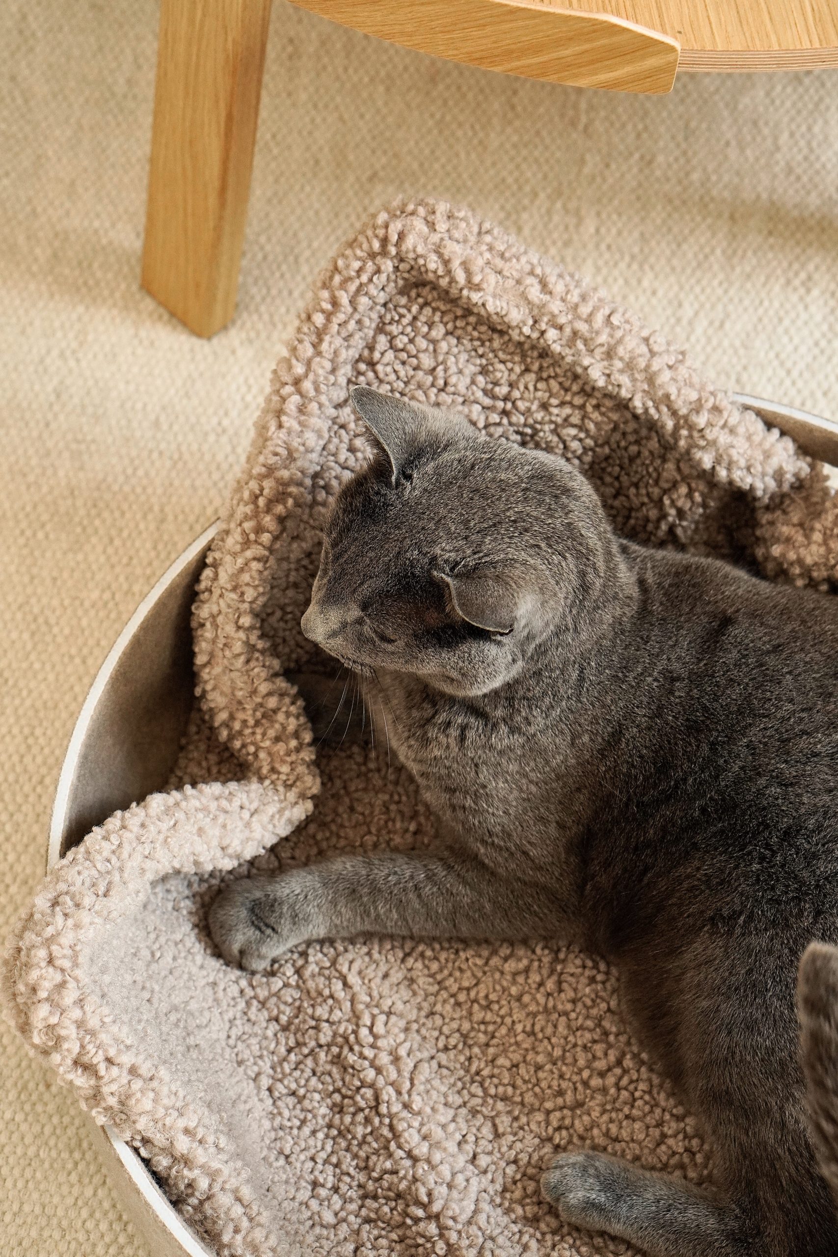 MiaCara Senso kattendeken - Afbeelding 2